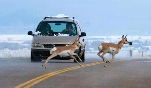 1547467874964520.jpg 西安汽車陪練,輕松上路,陪練,陪駕,西安輕松上路汽車陪練公司